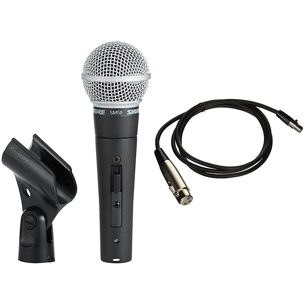 Microphone with on/off switch