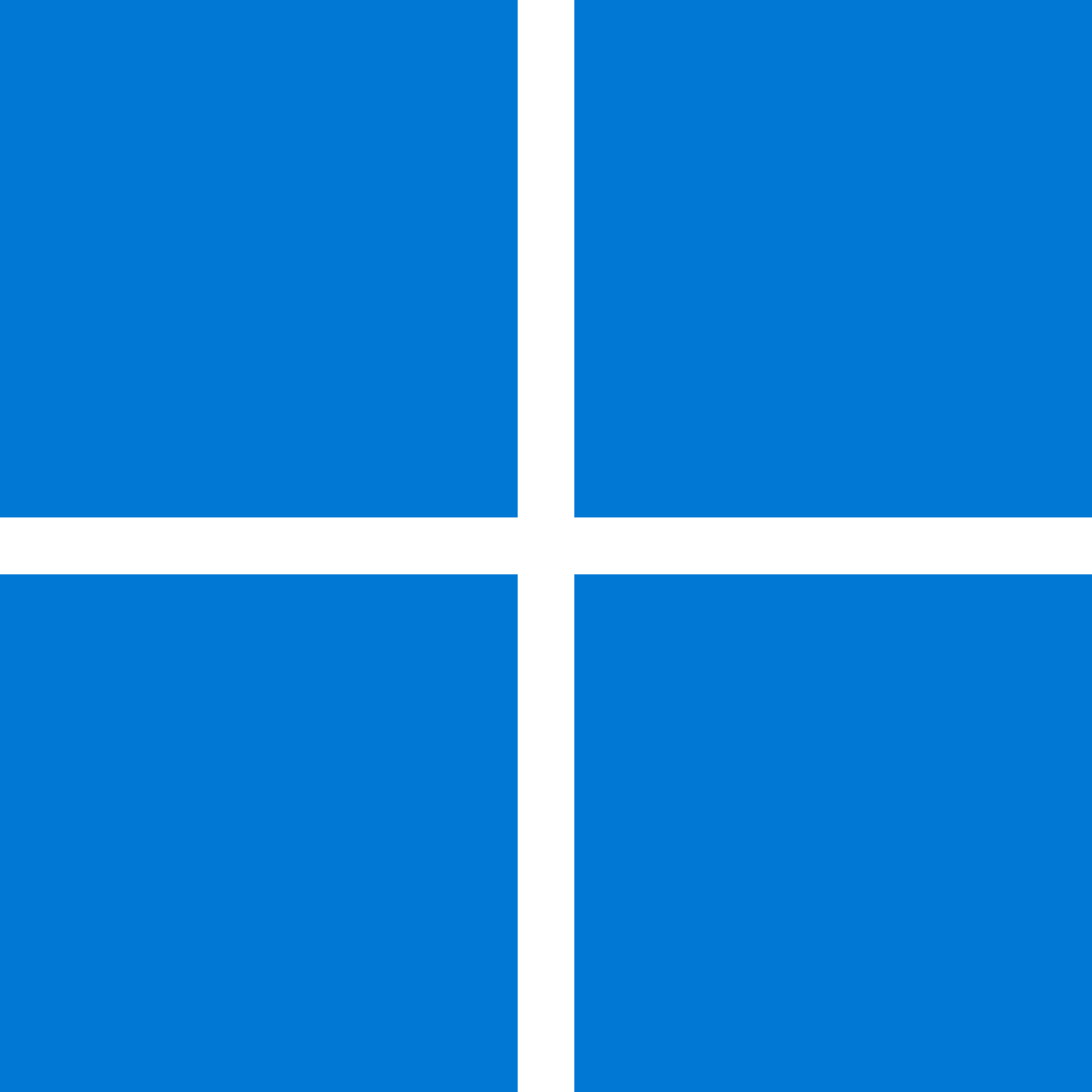 Windows logo or a computer scanning files