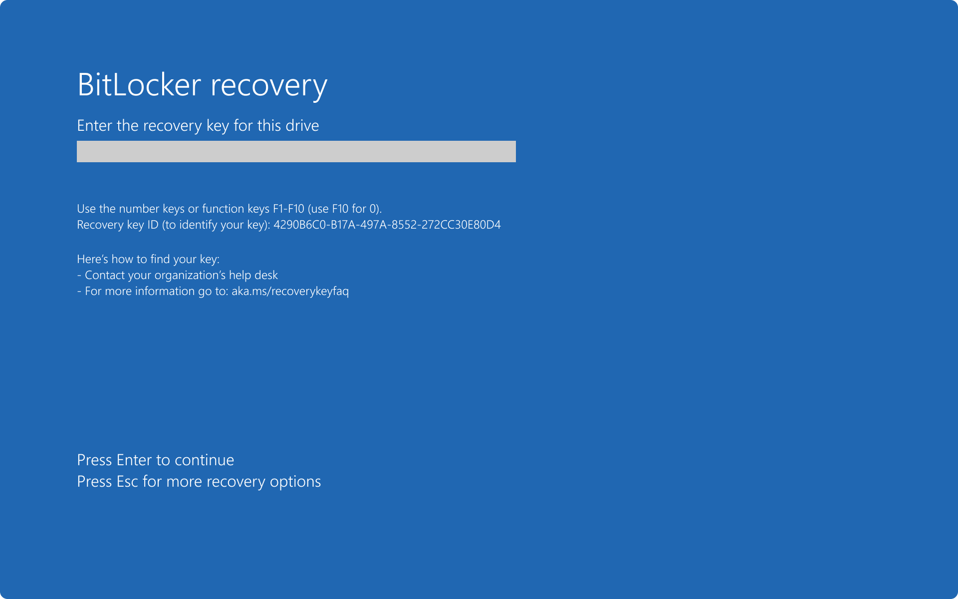 Windows Recovery Options screen